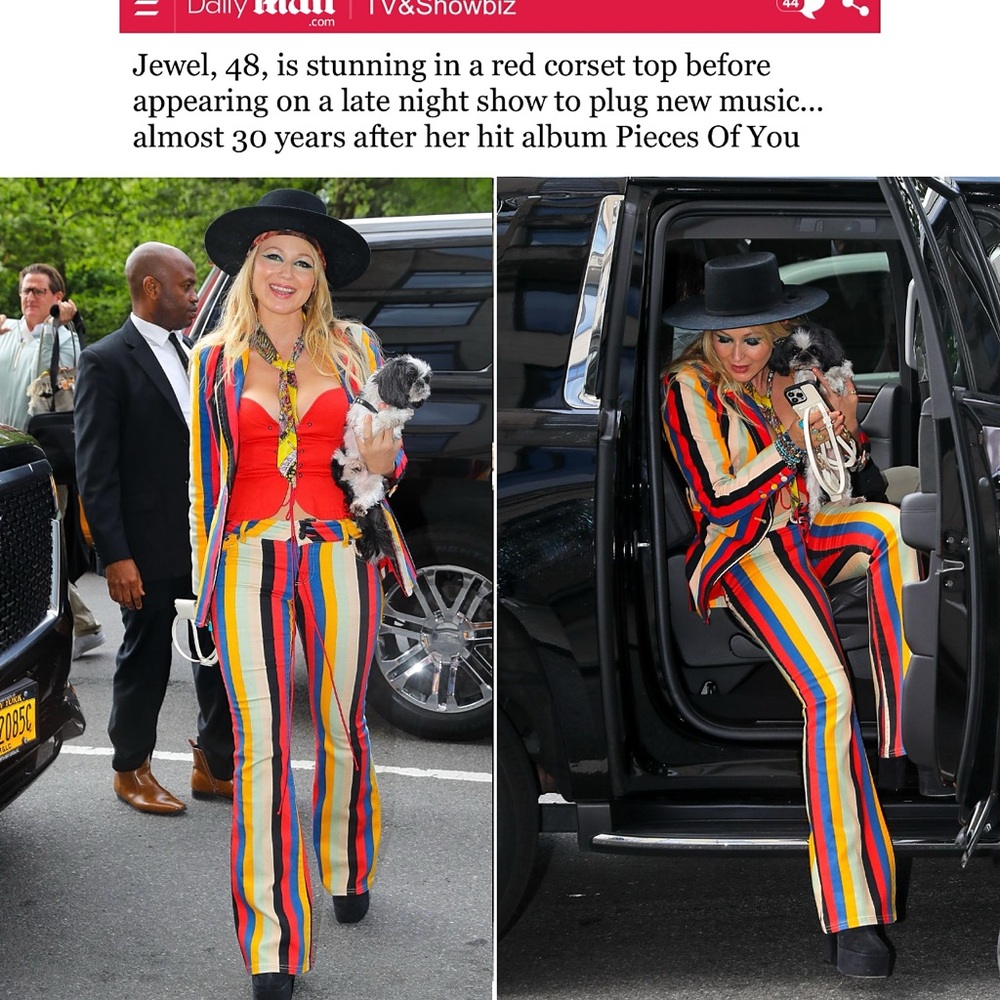 Alice + Olivia Stacey Low Rise Boheme Stripe Bell Jeans - Picture 9 of 17